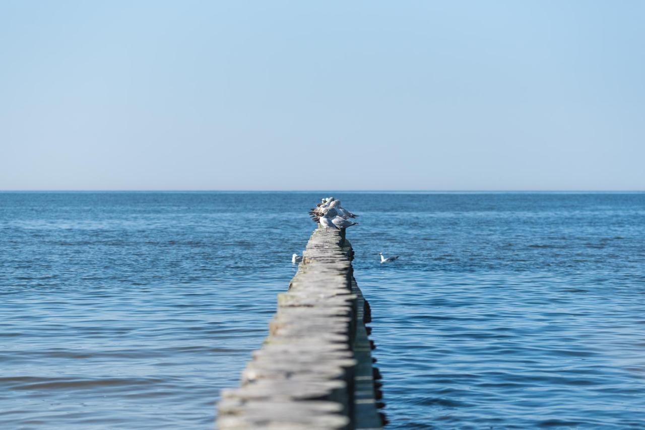 Na Fali Pokoje Goscinne Łeba Exterior foto